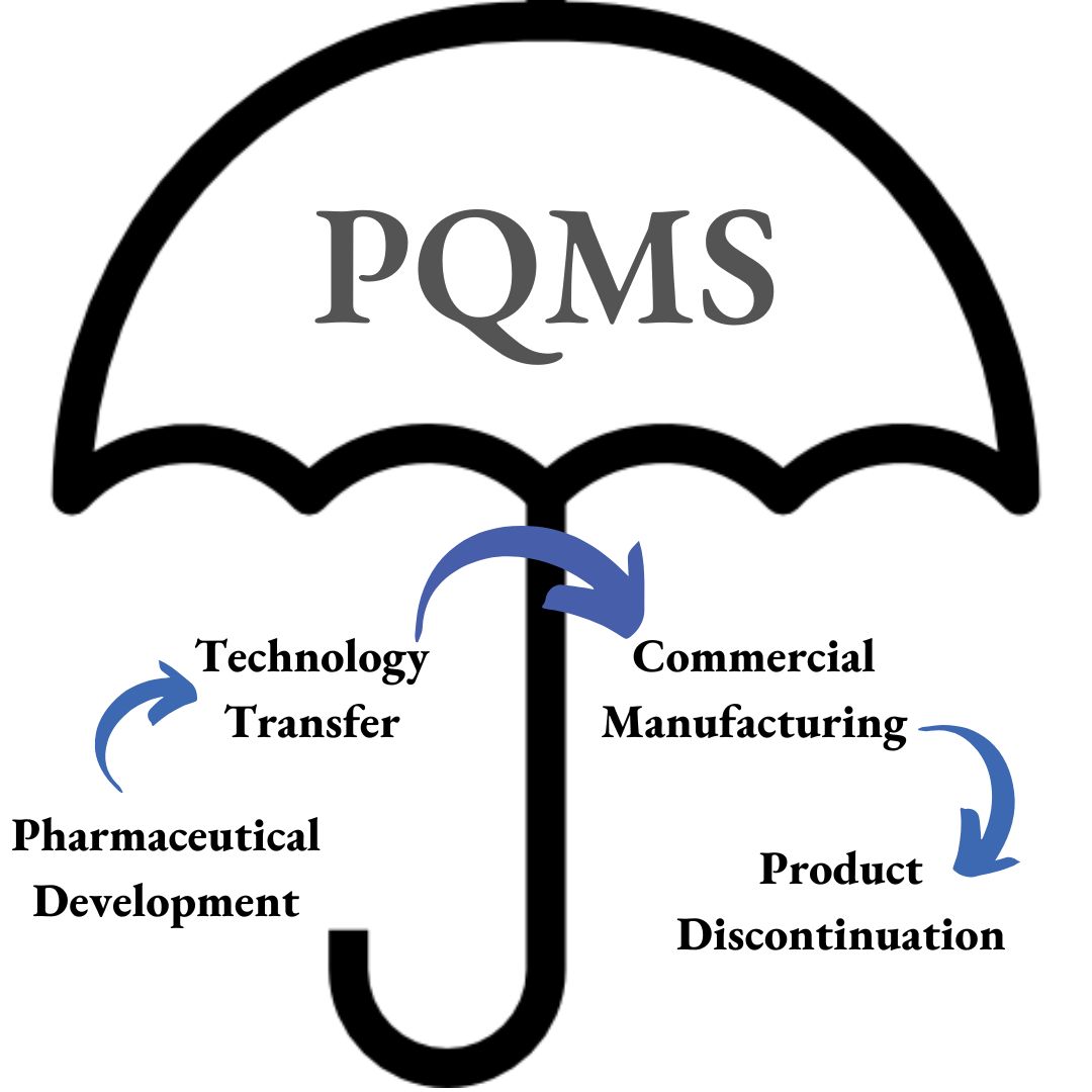 Strategy Management
